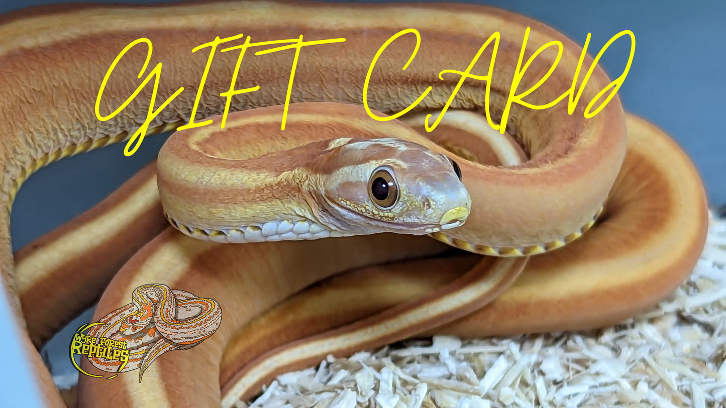 Wyre Forest Reptiles - Gift Card